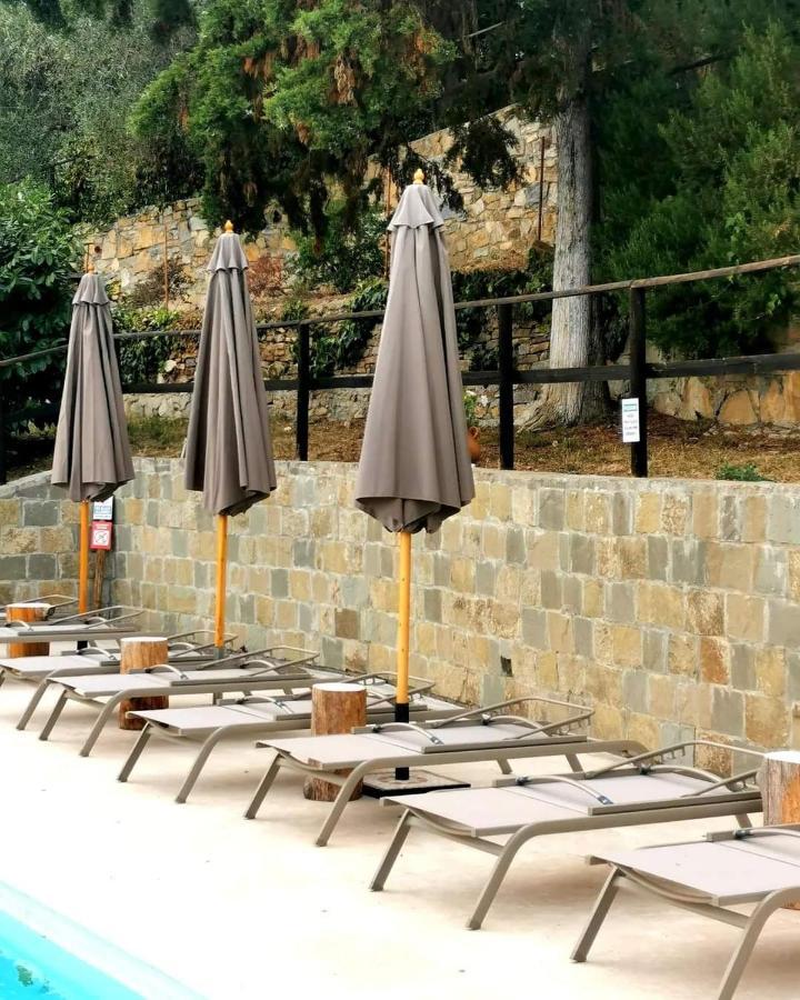 Agriturismo Osteria Du Barba Pe' - Casa Cassini Bordighera Eksteriør billede