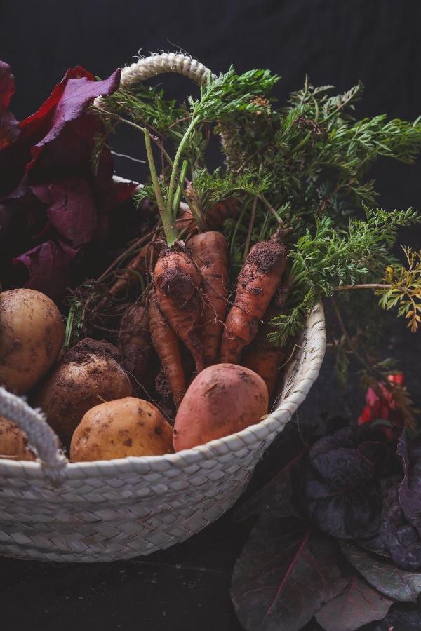 Agriturismo Osteria Du Barba Pe' - Casa Cassini Bordighera Eksteriør billede