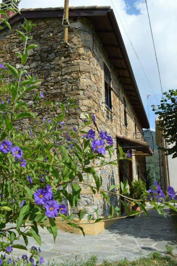 Agriturismo Osteria Du Barba Pe' - Casa Cassini Bordighera Eksteriør billede
