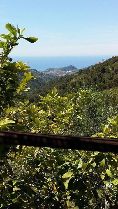 Agriturismo Osteria Du Barba Pe' - Casa Cassini Bordighera Eksteriør billede