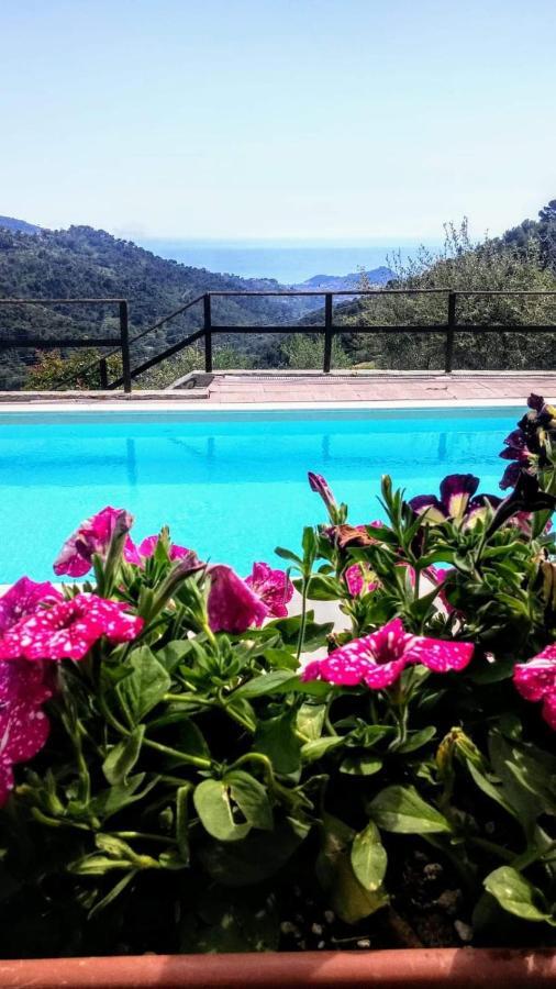 Agriturismo Osteria Du Barba Pe' - Casa Cassini Bordighera Eksteriør billede